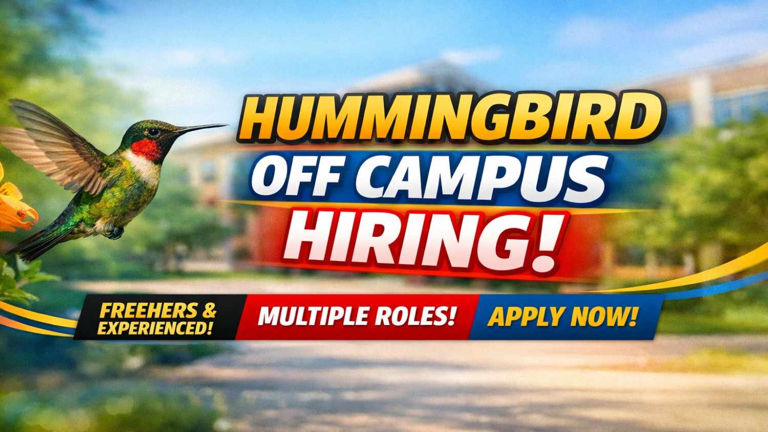 Hummingbird Off Campus Hiring